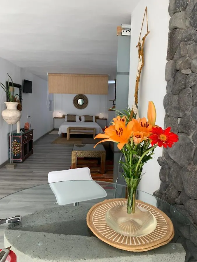 Apartment Little Paradise In El Medano 2 Granadilla De Abona Spain