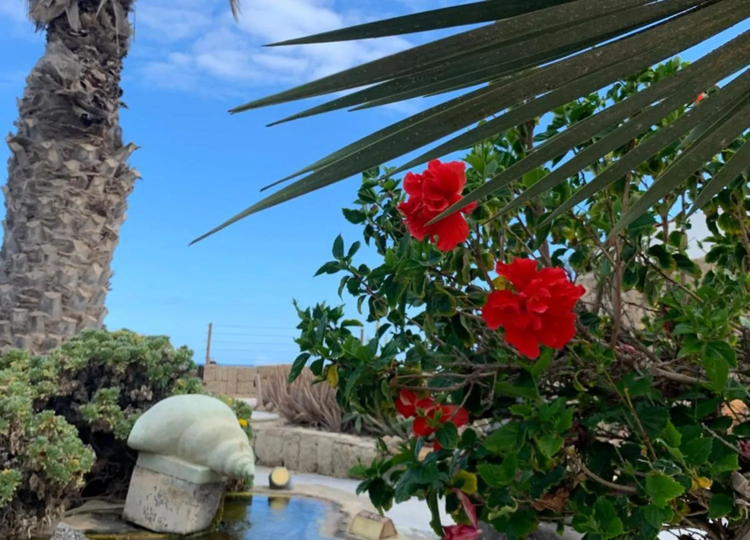 Apartment Little Paradise In El Medano 2 Granadilla De Abona